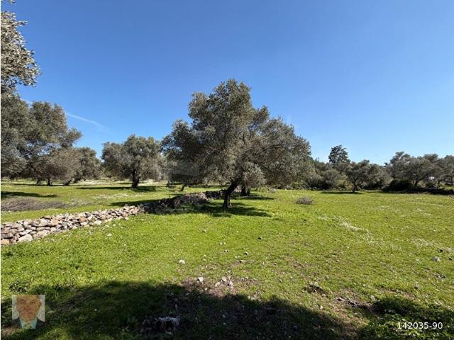 Bodrum içerisinde satılık mülk