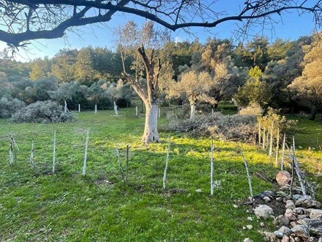 Bodrum, Muğla içerisinde satılık Arsa
