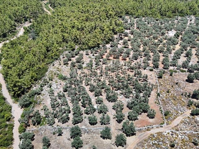 Bodrum, Muğla içerisinde satılık Arsa