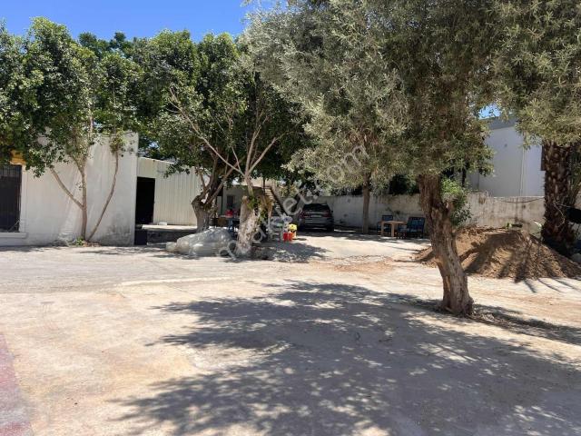 Bodrum, Muğla içerisinde kiralık mülk