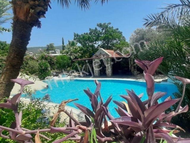 Bodrum, Muğla içerisinde kiralık mülk