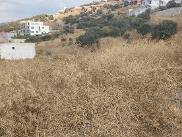 Kuyucak Mevkii, Milas içerisinde satılık Arsa