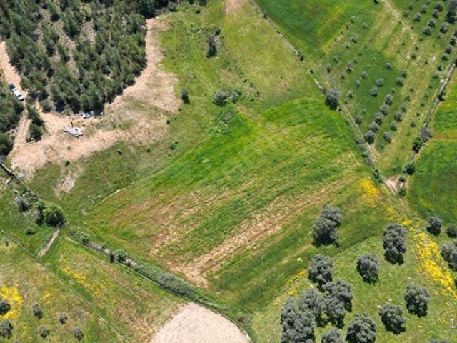 Milas, Muğla içerisinde satılık Arsa