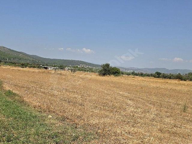 Bodrum, Muğla içerisinde satılık Arsa
