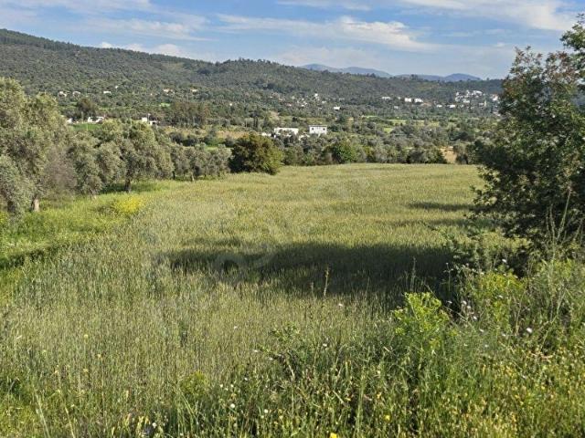 Bodrum, Muğla içerisinde satılık Arsa