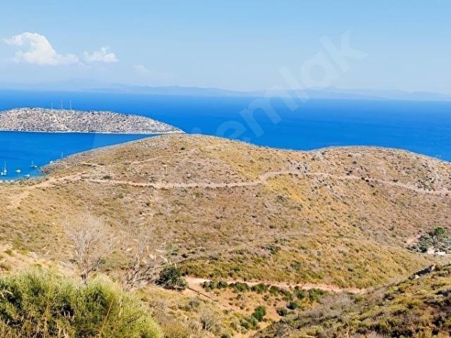 Milas, Muğla içerisinde satılık mülk