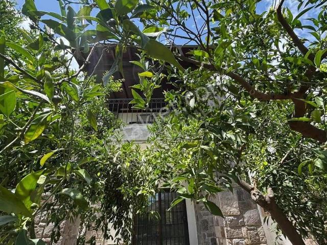Bodrum, Muğla içerisinde kiralık Villa
