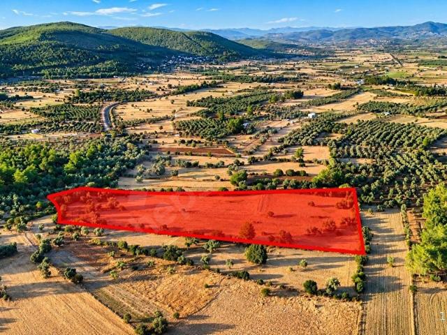 Bodrum, Muğla içerisinde satılık Arsa