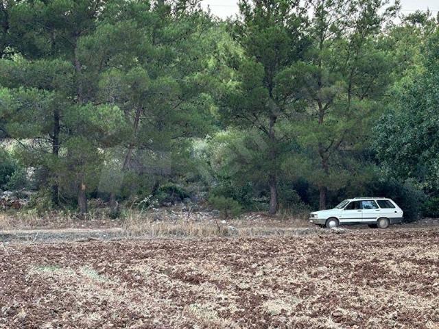 Bodrum, Muğla içerisinde satılık Arsa
