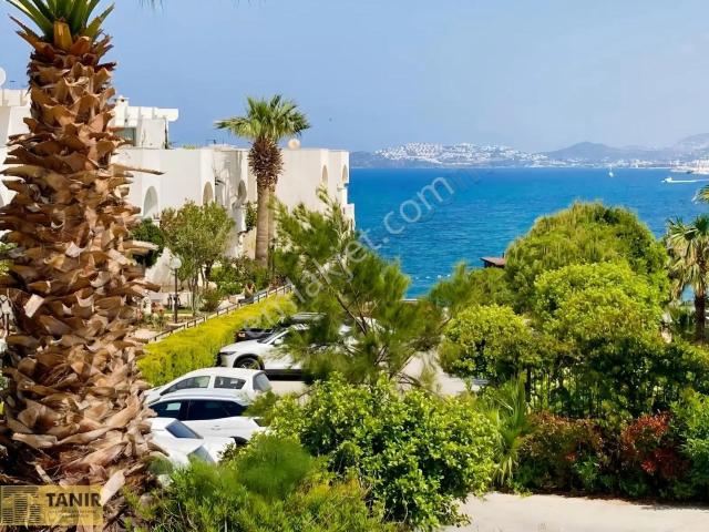 Bodrum, Muğla içerisinde satılık mülk