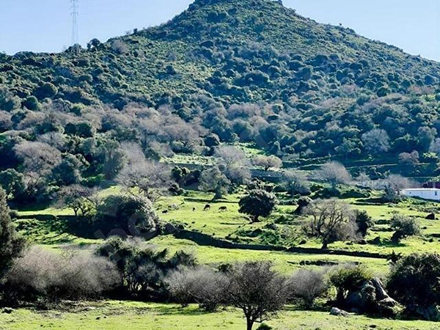 Bodrum, Muğla içerisinde satılık Arsa