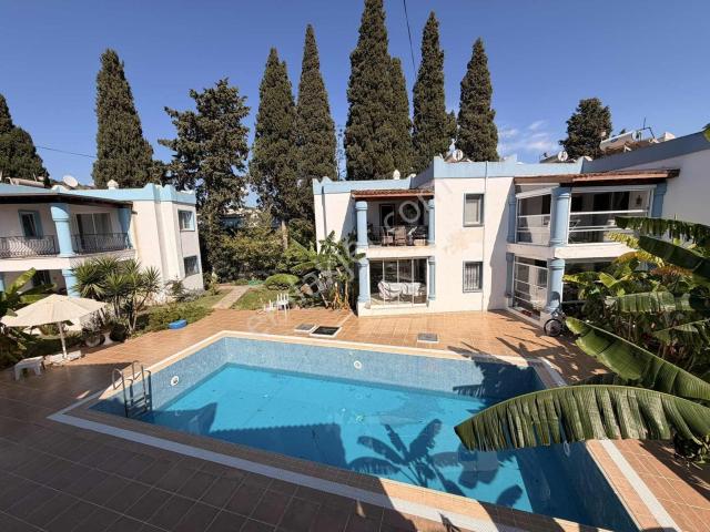 Türkbükü, Bodrum içerisinde satılık mülk