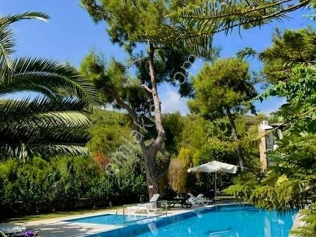 Türkkuyusu, Bodrum içerisinde kiralık mülk