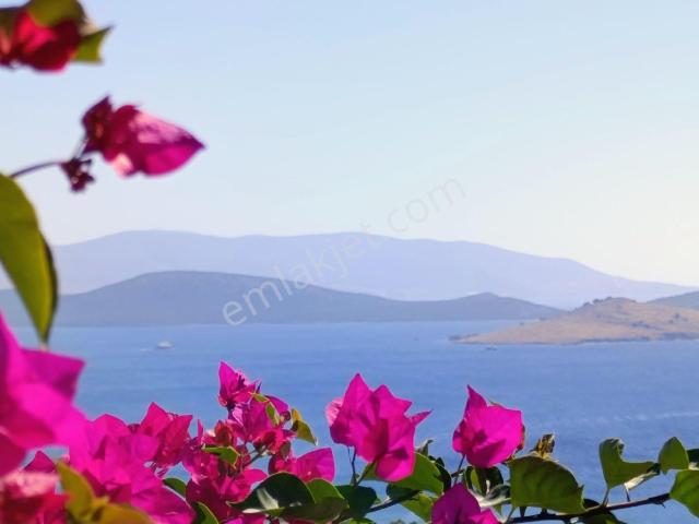 Bodrum, Muğla içerisinde kiralık Villa