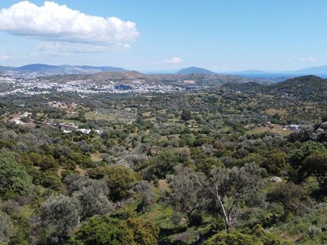 Bodrum, Muğla içerisinde satılık mülk
