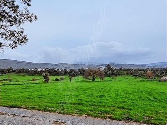 Milas, Muğla içerisinde satılık Arsa