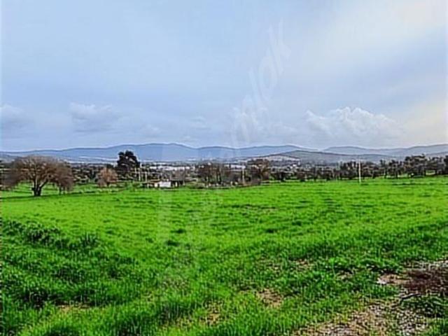 Milas, Muğla içerisinde satılık Arsa