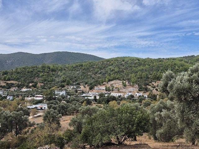 Bodrum, Muğla içerisinde satılık mülk