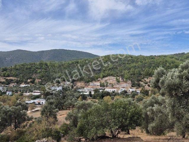 Bodrum, Muğla içerisinde satılık mülk