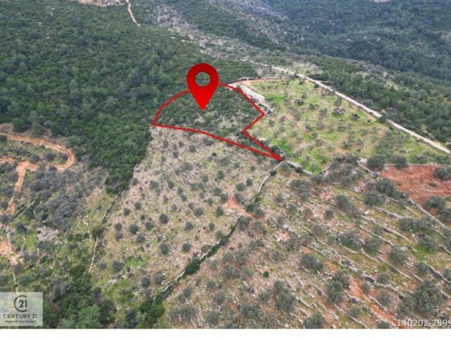 Bodrum, Muğla içerisinde satılık Arsa