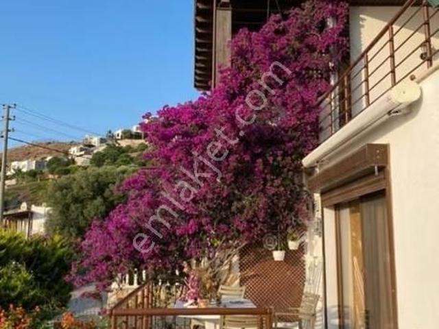 Bodrum, Muğla içerisinde kiralık Villa
