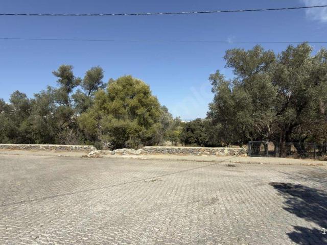 Bodrum içerisinde satılık Arsa