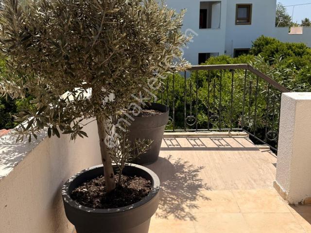 Bodrum, Muğla içerisinde satılık mülk