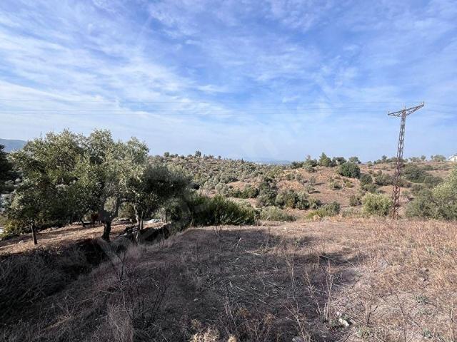 Bodrum, Muğla içerisinde satılık mülk