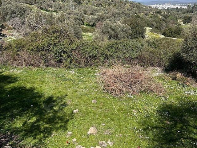 Bodrum, Muğla içerisinde satılık mülk