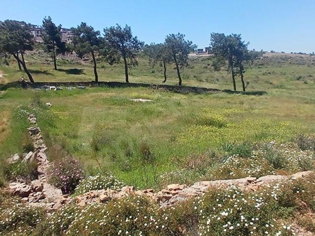Milas, Muğla içerisinde satılık Arsa
