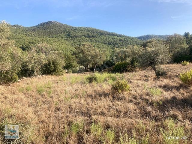 Milas, Muğla içerisinde satılık Arsa