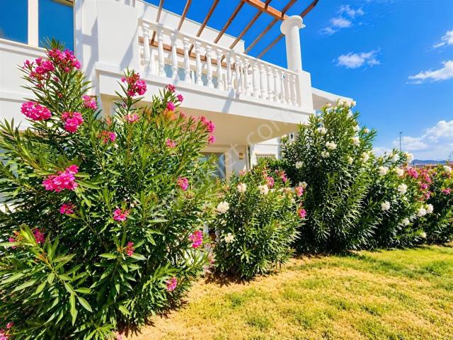 Güvercinlik, Bodrum içerisinde satılık mülk