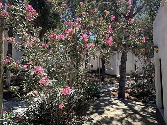 Bodrum, Muğla içerisinde satılık mülk