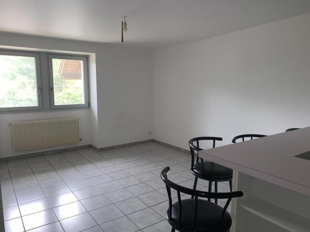Appartement location à Thonon-les-Bains, Boëge