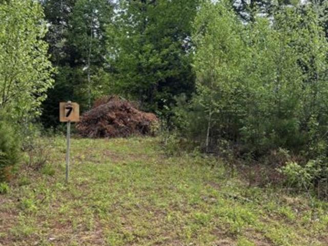 Land for sale in West Paris, Maine