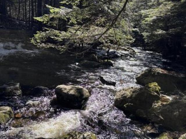 Land for sale in West Paris, Maine