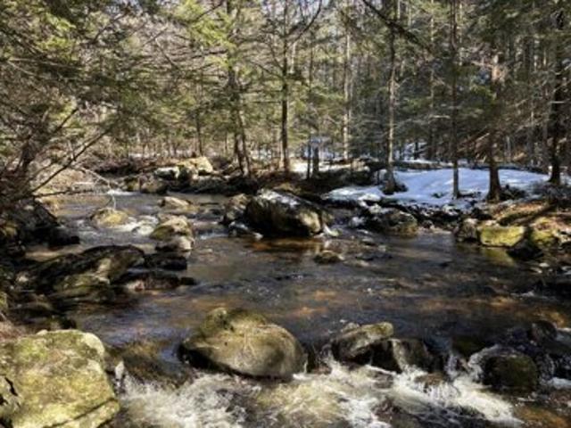 Land for sale in West Paris, Maine
