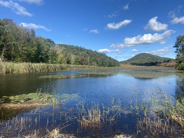 Land for sale in Amenia, New York