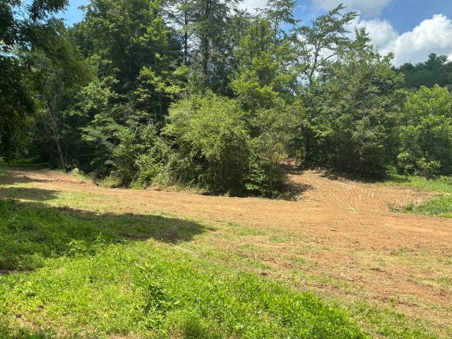 Land for sale in Tennessee