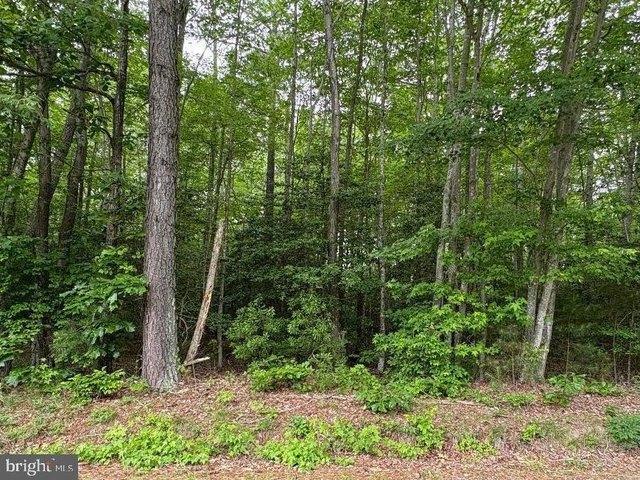 Land for sale in Virginia
