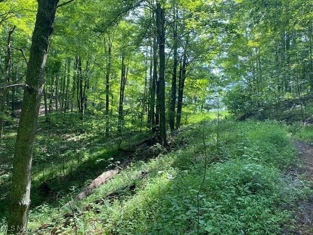 Land for sale in Gandeeville, West Virginia