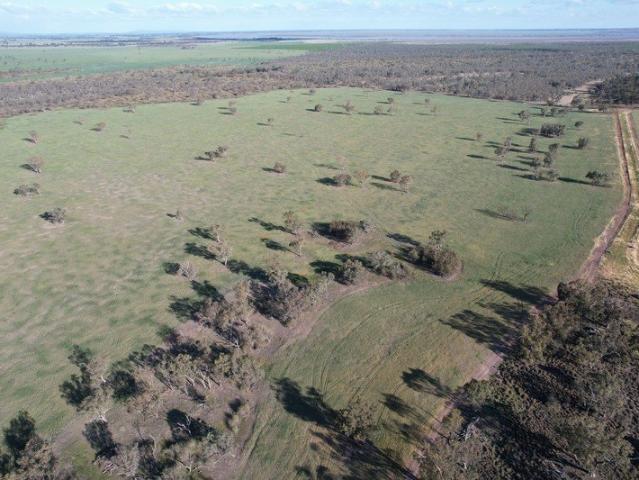 Cottage for sale in Bedgerabong, New South Wales