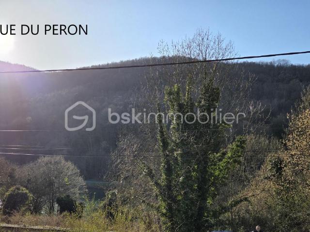 Château vente à Charleville-Mézières, Bogny-sur-meuse