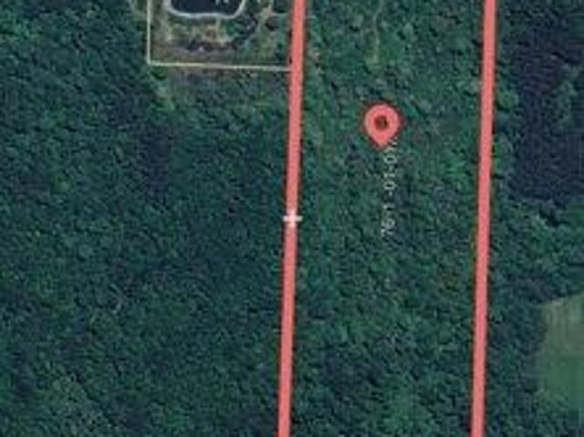 Land for sale in Bogue Chitto, Mississippi