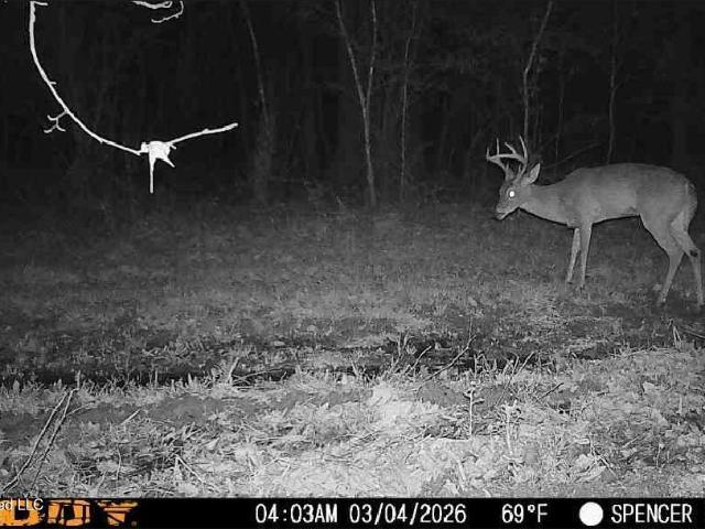 Land for sale in Mississippi
