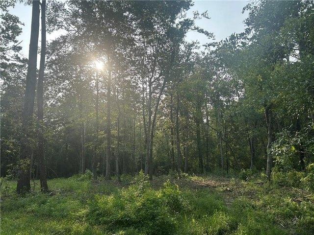 Land for sale in Covington, Louisiana