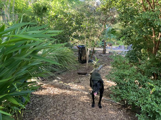 House for sale in Gympie Dc, Queensland