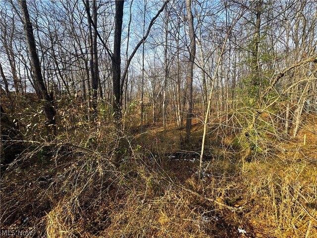 Land for sale in Marietta, Ohio