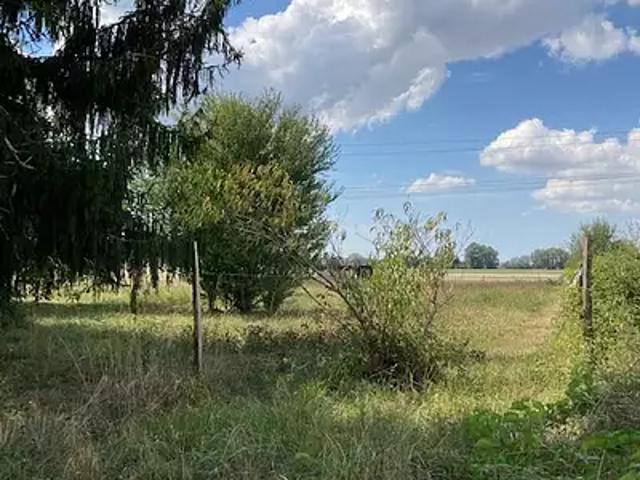 Terrain vente à France métropolitaine, Bois