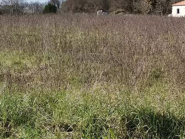 Terrain vente à France métropolitaine, Bois